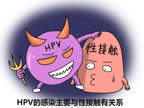 尖锐湿疣的病因【厦门广肤皮肤病专科医院】